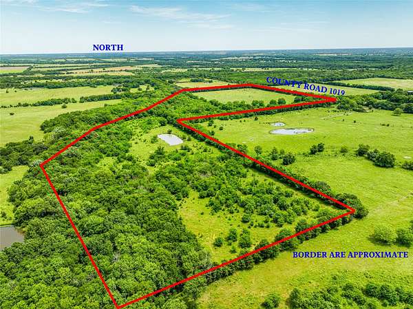 63 Acres of Land for Sale in Celeste, Texas