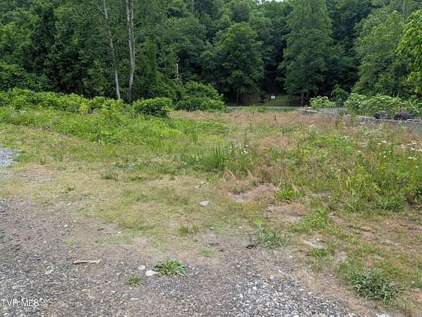 1.24 Acres of Mixed-Use Land for Sale in Bee, Virginia