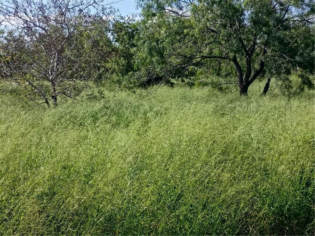 3.59 Acres of Residential Land for Sale in Alice, Texas