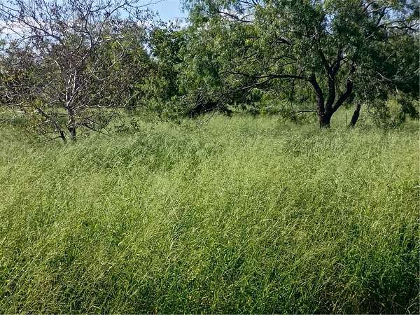3.59 Acres of Residential Land for Sale in Alice, Texas