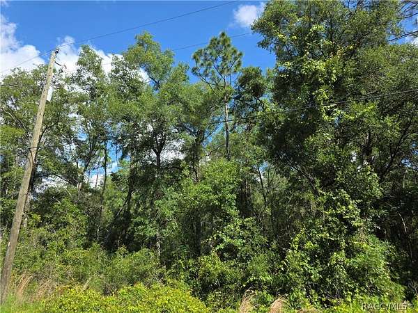 0.22 Acres of Residential Land for Sale in Inverness, Florida