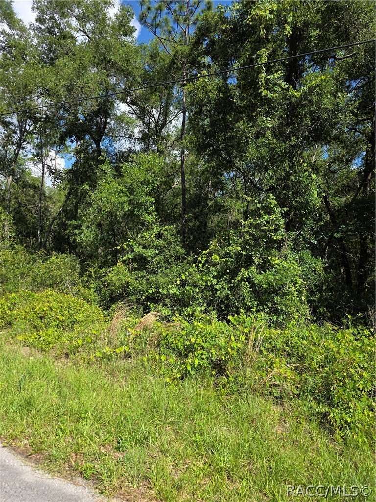 0.22 Acres of Residential Land for Sale in Inverness, Florida