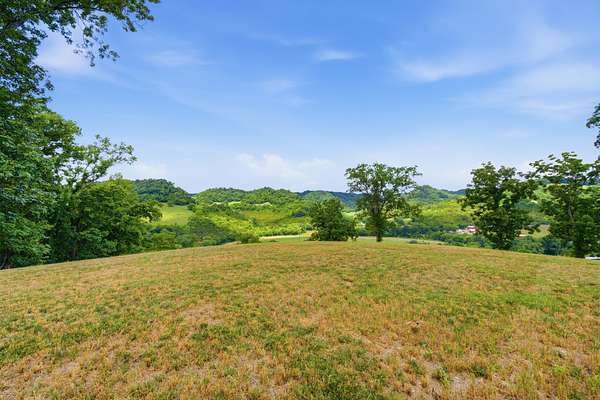 33.3 Acres of Agricultural & Residential Land for Sale in Pleasant Shade, Tennessee
