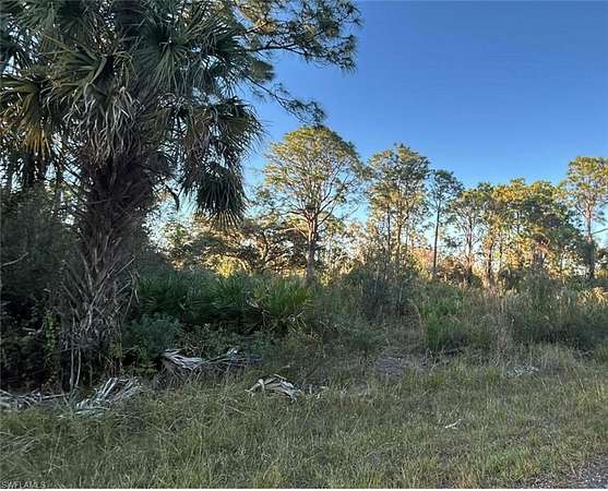 0.32 Acres of Residential Land for Sale in Lehigh Acres, Florida