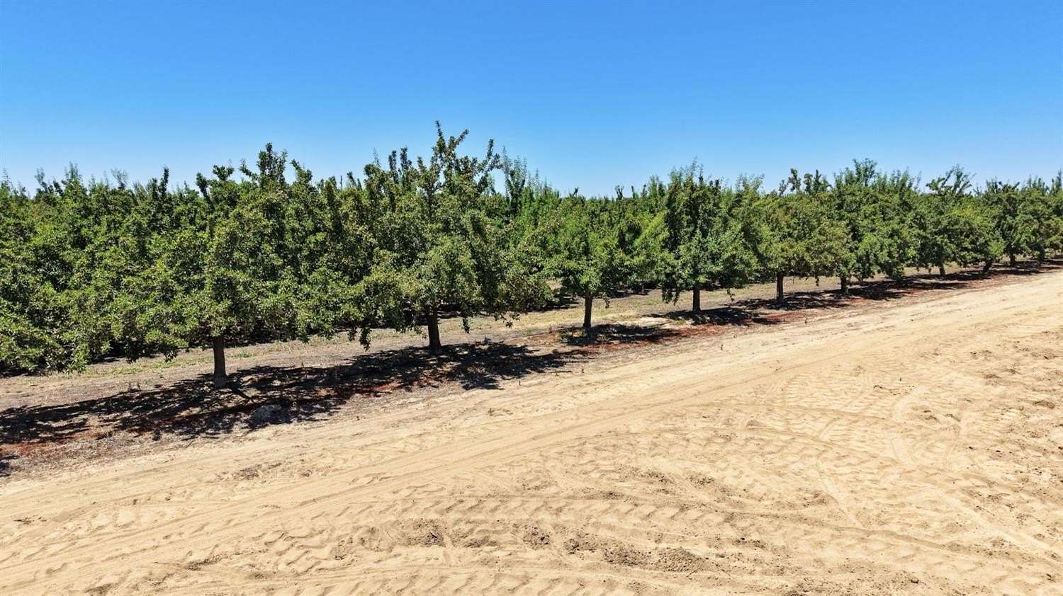 18 Acres of Land for Sale in Fresno, California