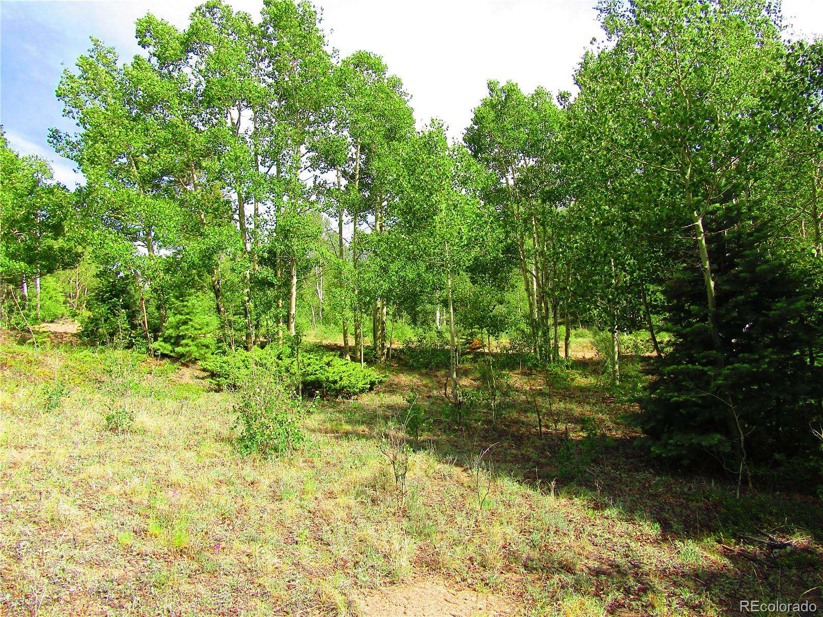 5.42 Acres of Land for Sale in San Luis, Colorado