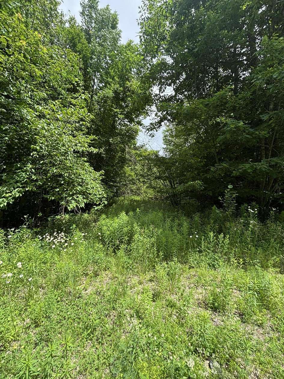 40.3 Acres of Recreational & Residential Land for Sale in Corinth Town, Maine