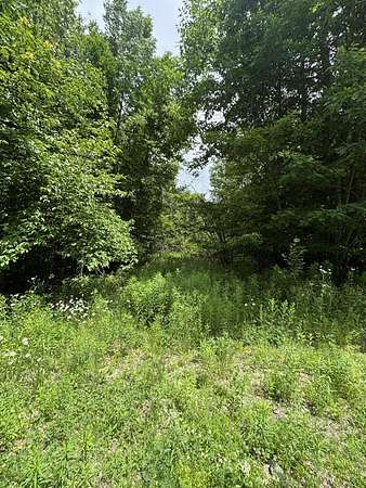 40.3 Acres of Recreational & Residential Land for Sale in Corinth Town, Maine