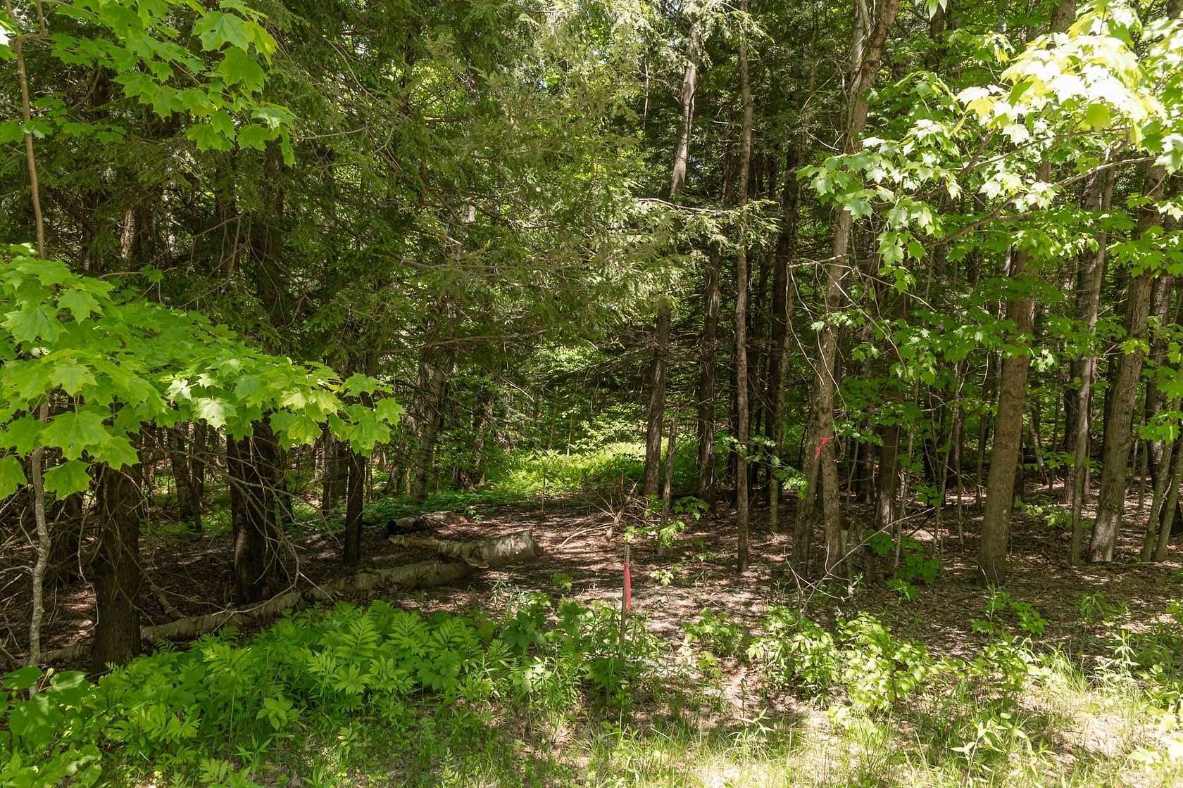 7 Acres of Land for Sale in Stowe, Vermont