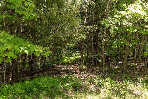 7 Acres of Land for Sale in Stowe, Vermont