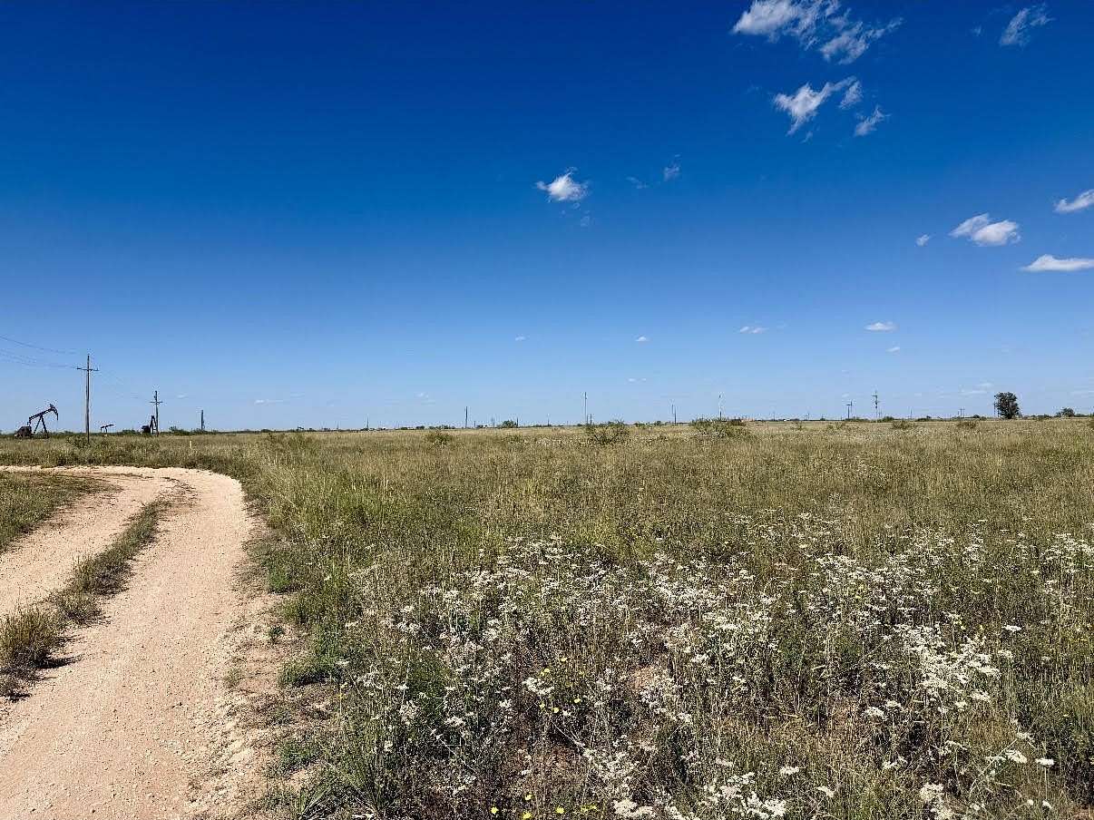 Land for Sale in Brownfield, Texas