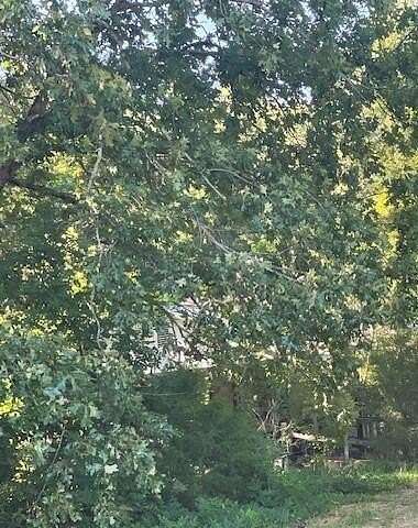 2 Acres of Residential Land for Sale in Bankston, Alabama