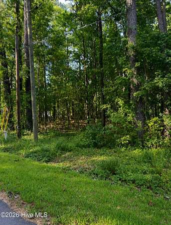 0.55 Acres of Residential Land for Sale in Edenton, North Carolina