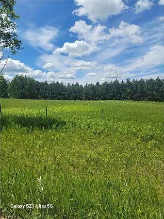 20 Acres of Recreational & Residential Land for Sale in Burleene Township, Minnesota