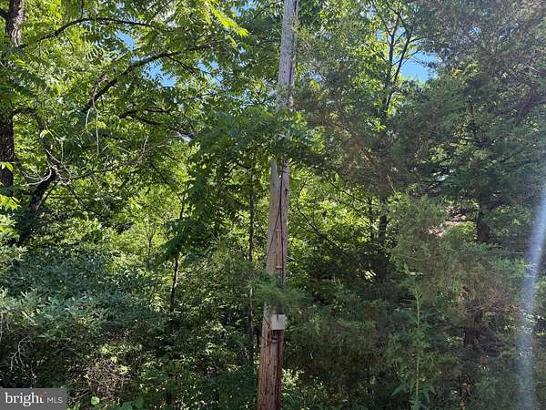5 Acres of Residential Land for Sale in Stephenson, Virginia