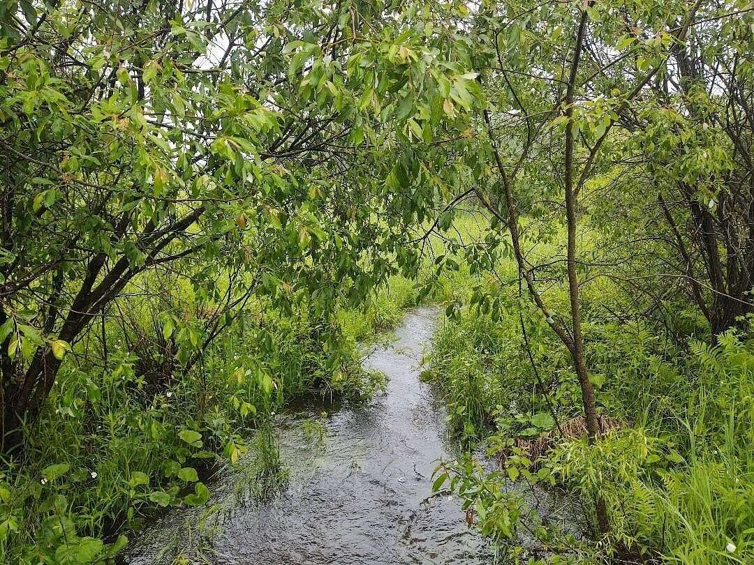 40 Acres of Recreational & Residential Land for Sale in Millersburg, Michigan