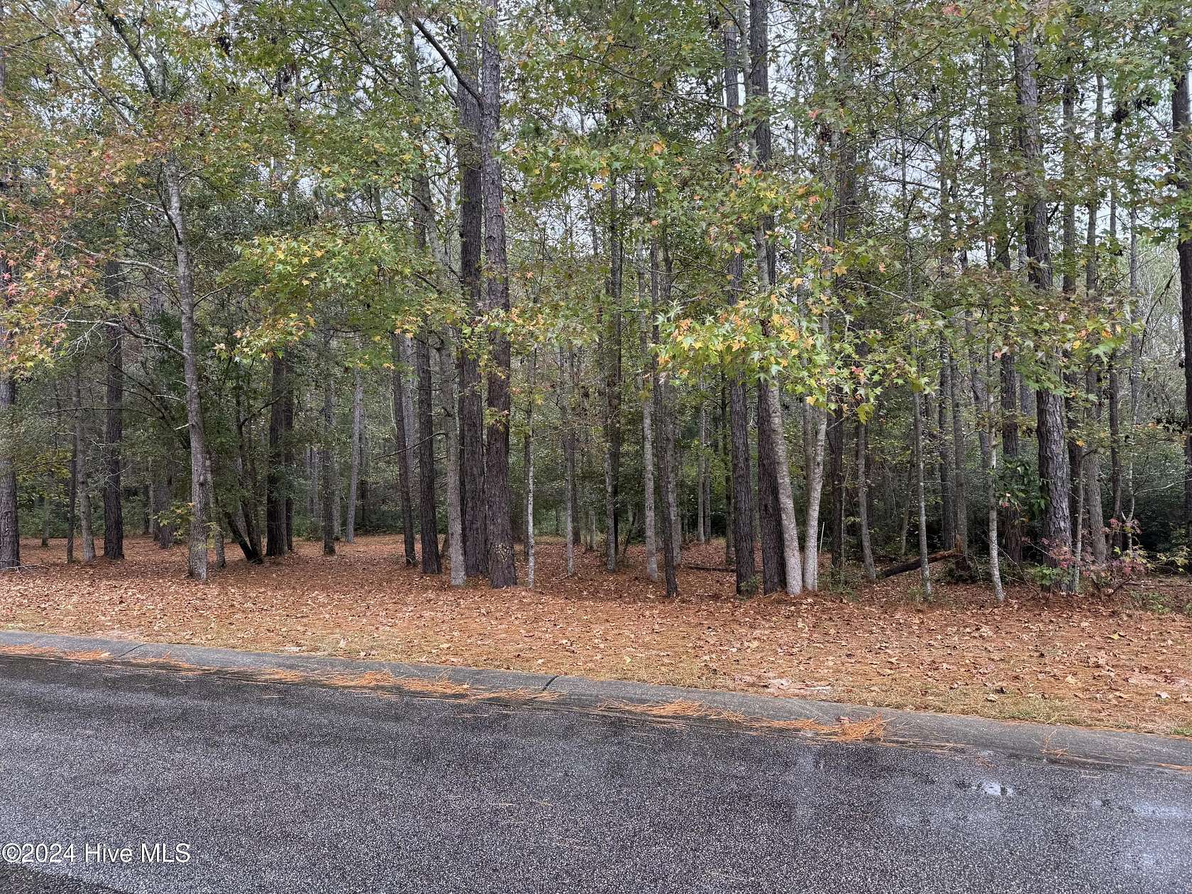 0.59 Acres of Residential Land for Sale in Ocean Isle Beach, North Carolina