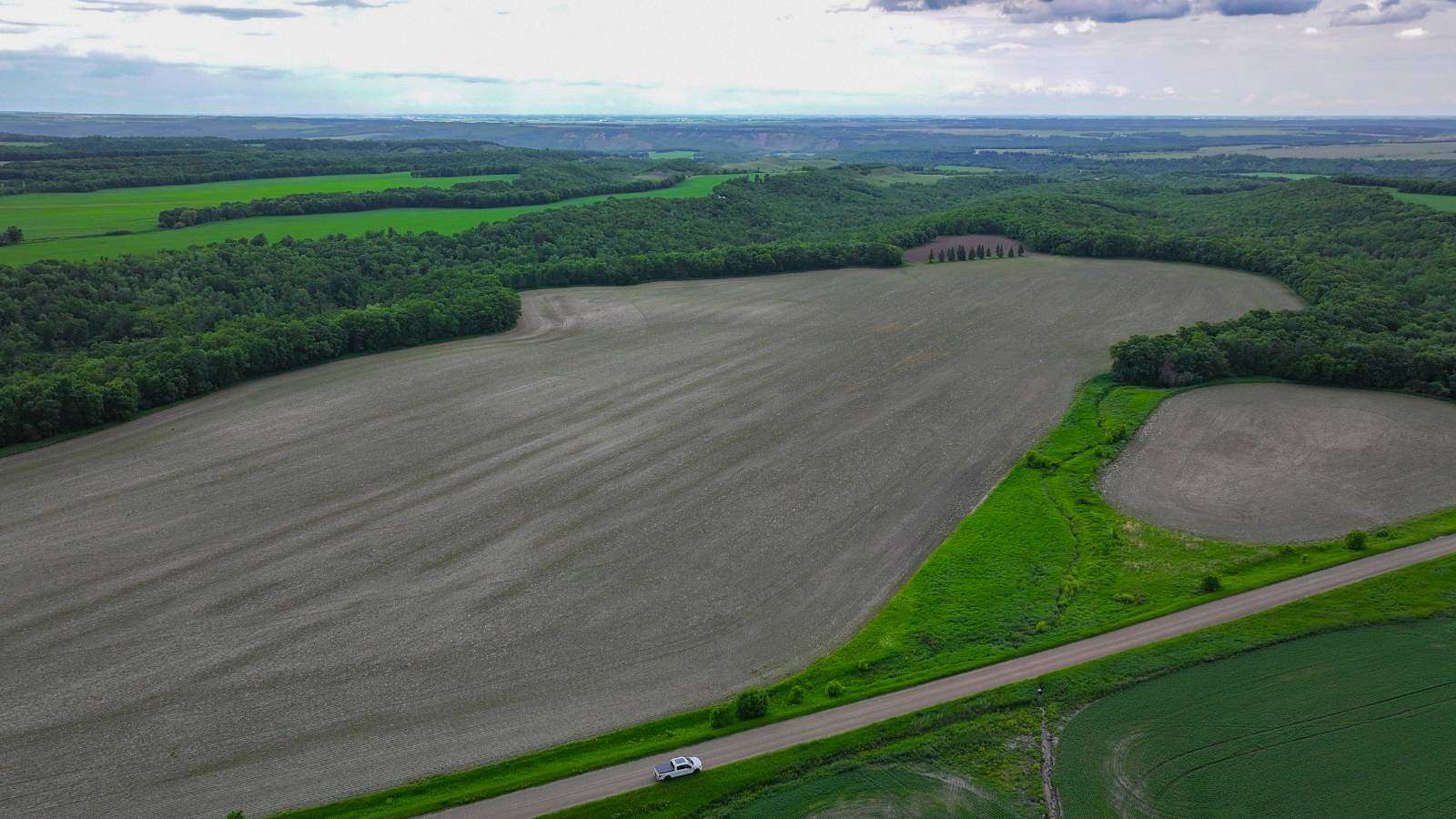 160 Acres of Land for Auction in Walhalla, North Dakota