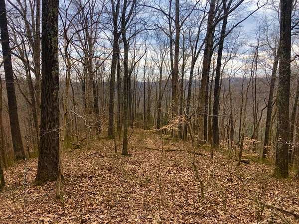 2 Acres of Residential Land for Sale in Whites Creek, Tennessee