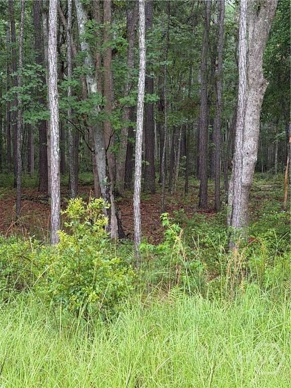 0.7 Acres of Residential Land for Sale in Pooler, Georgia