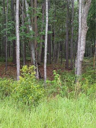 0.7 Acres of Residential Land for Sale in Pooler, Georgia