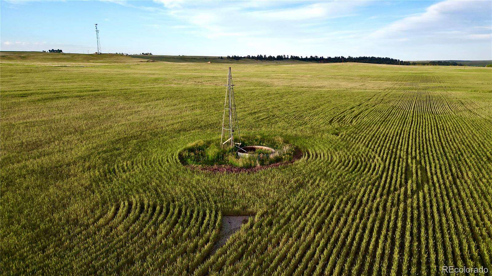 80 Acres of Agricultural Land for Sale in Elbert, Colorado