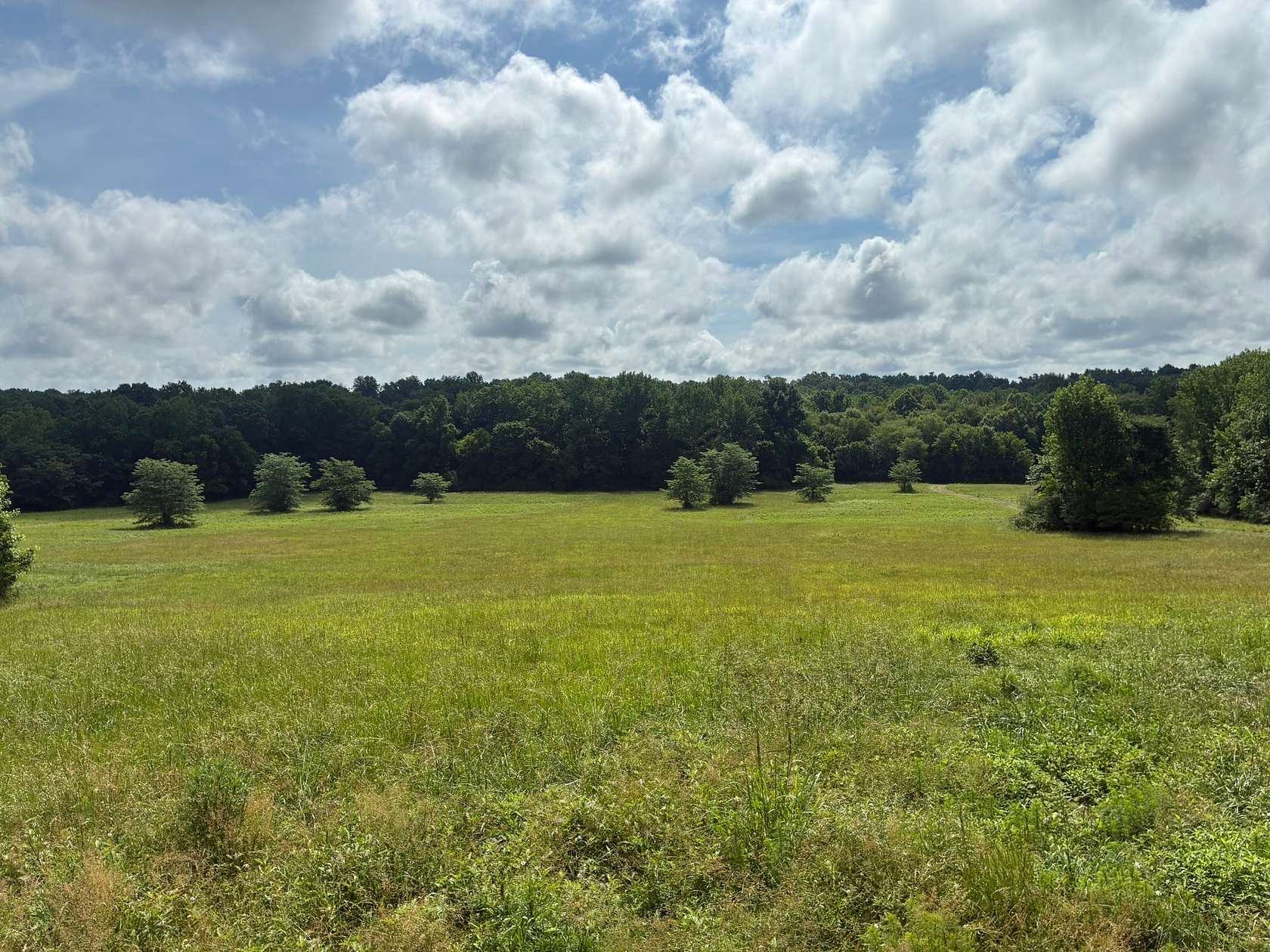 63.1 Acres of Land for Auction in Iron City, Tennessee