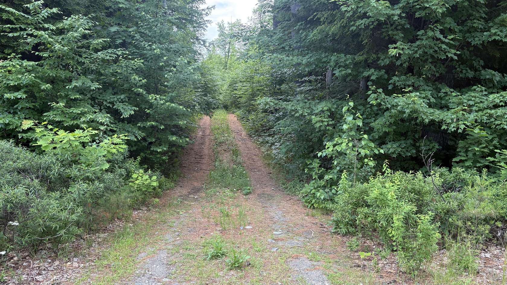 51 Acres of Recreational Land for Sale in Windsor, Maine