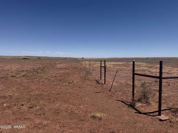 39.2 Acres of Recreational Land for Sale in Concho, Arizona