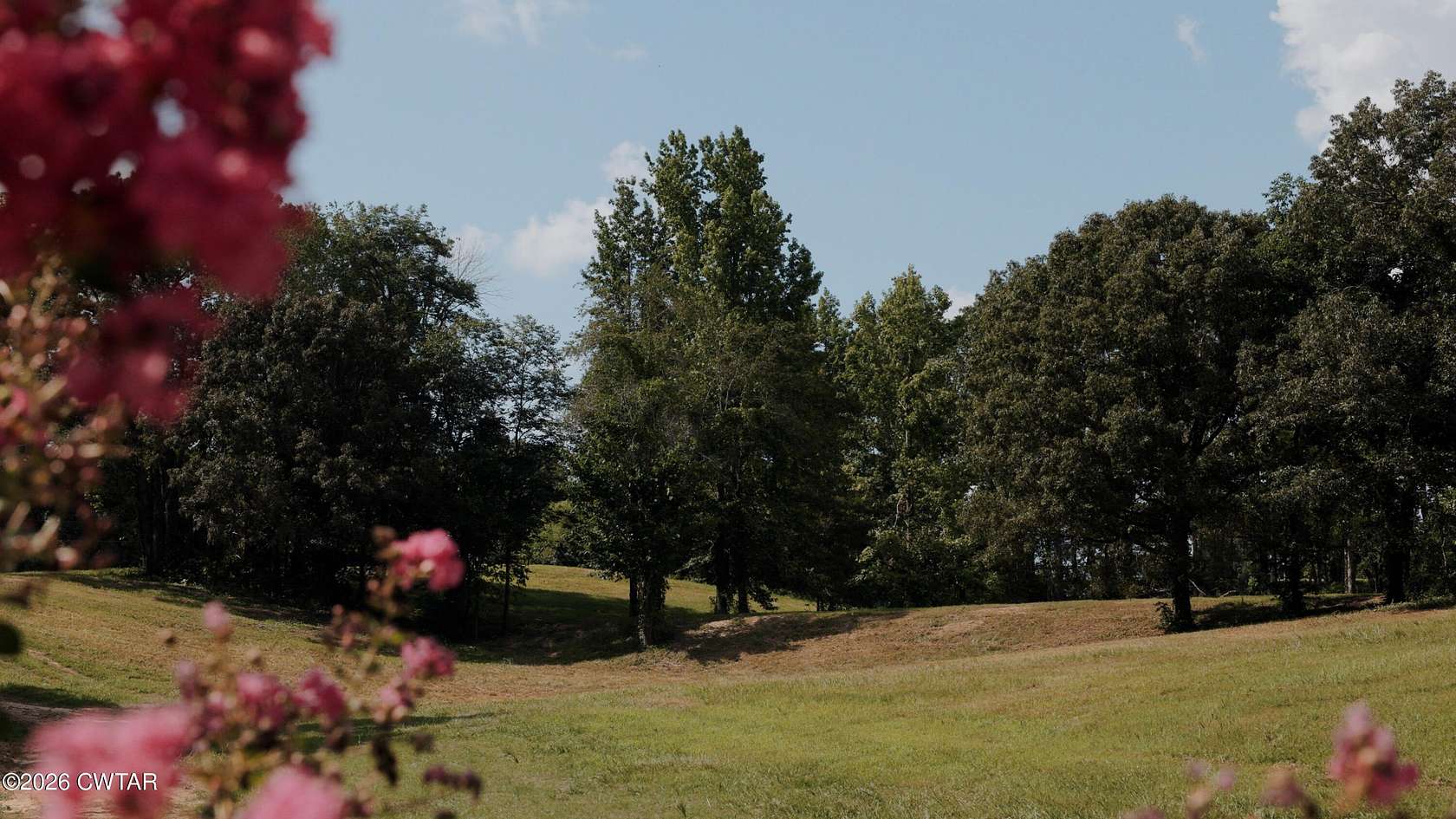 95.3 Acres of Land for Sale in Hickory Valley, Tennessee