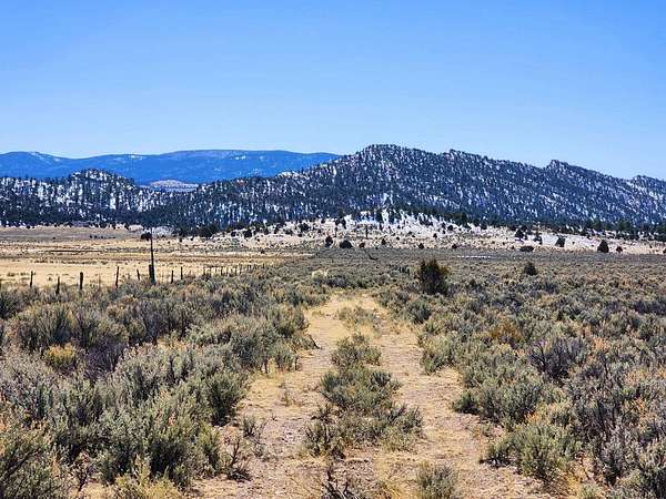 80 Acres of Recreational Land for Sale in Regina, New Mexico