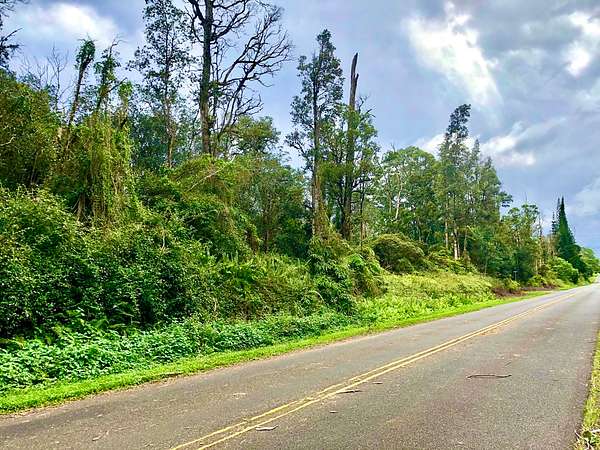 1 Acre of Residential Land for Sale in Pahoa, Hawaii