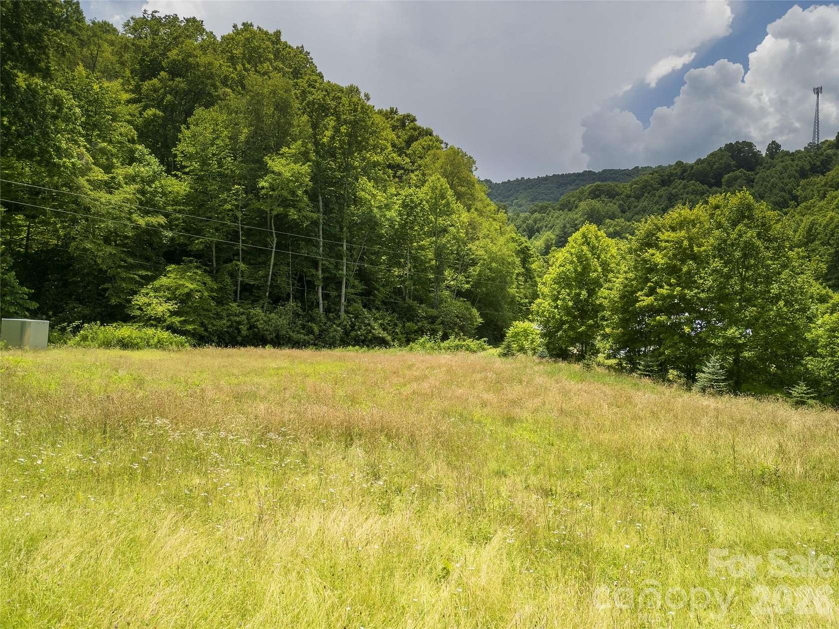 101 Acres of Recreational & Residential Land for Sale in Mars Hill, North Carolina