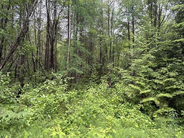 1.84 Acres of Land for Sale in Woodland Town, Maine