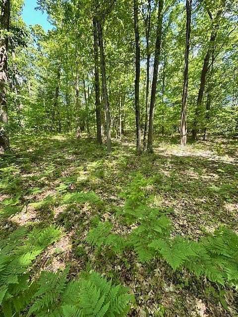 3.79 Acres of Residential Land for Sale in Big Rapids, Michigan