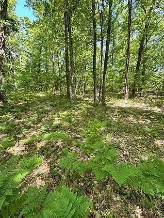 3.79 Acres of Residential Land for Sale in Big Rapids, Michigan
