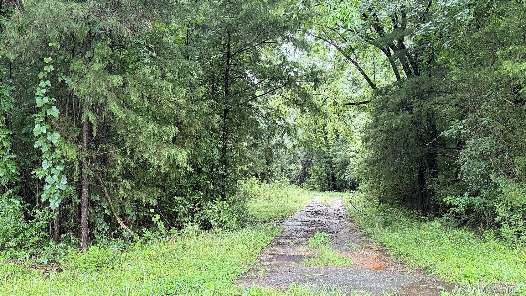 17.7 Acres of Land for Sale in Greenville, Alabama