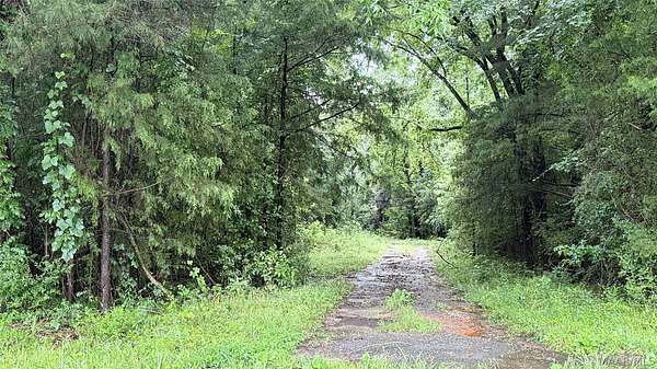 17.7 Acres of Land for Sale in Greenville, Alabama