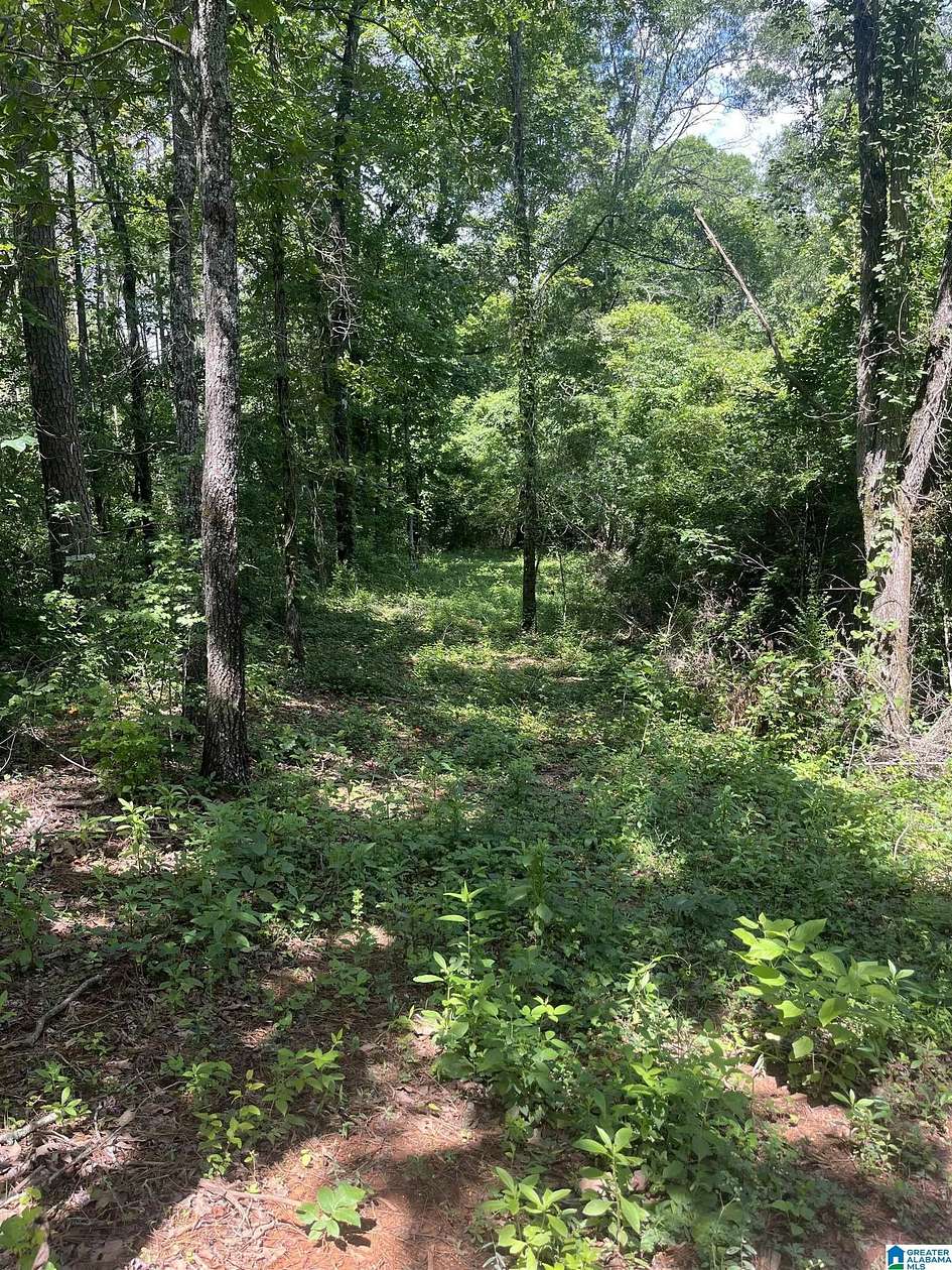 24.6 Acres of Recreational & Residential Land for Sale in Alpine, Alabama
