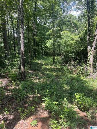 24.6 Acres of Recreational & Residential Land for Sale in Alpine, Alabama