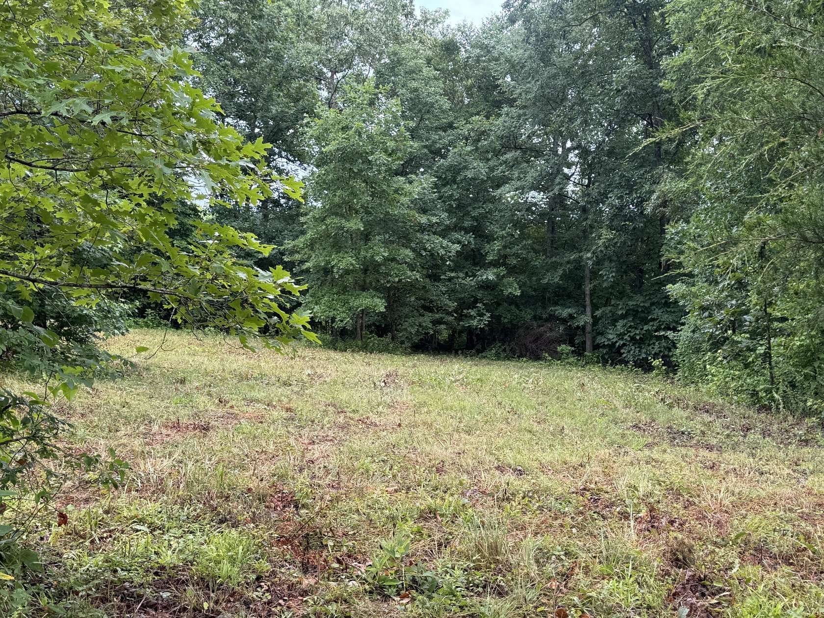 18.4 Acres of Recreational & Residential Land for Sale in Stewart, Tennessee