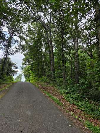 0.95 Acres of Land for Sale in Riceville, Tennessee