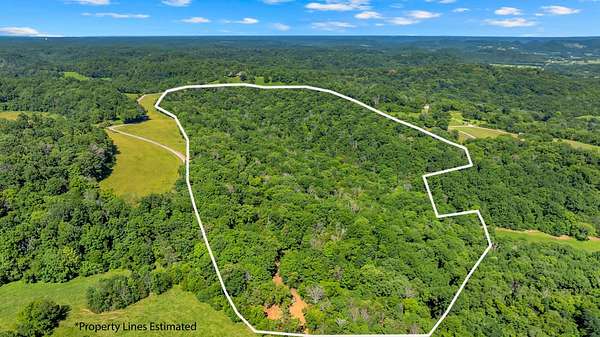 53 Acres of Recreational & Residential Land for Sale in Bethpage, Tennessee