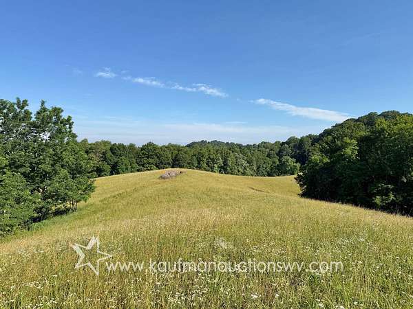 86.5 Acres of Land for Auction in Gassaway, West Virginia