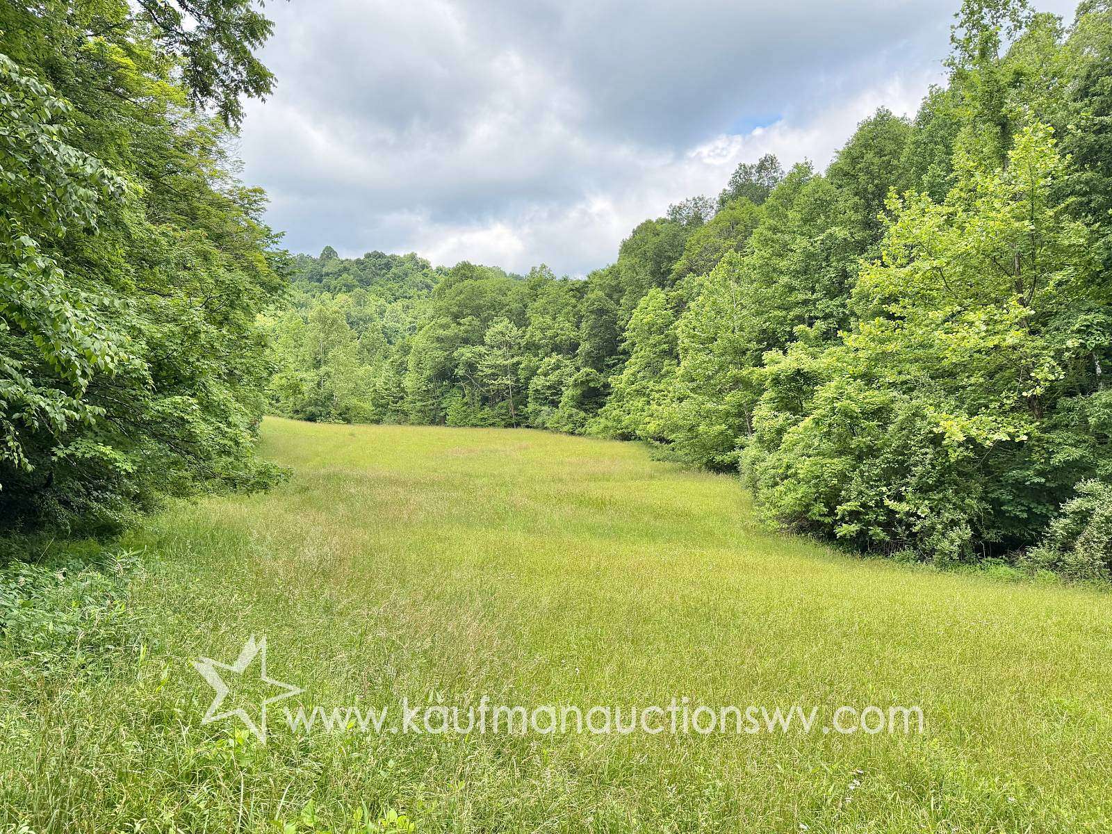 150 Acres of Land for Auction in Gassaway, West Virginia