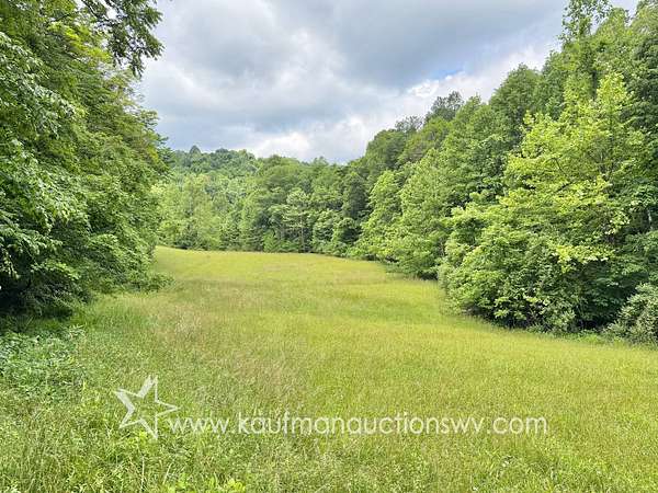 150 Acres of Land for Auction in Gassaway, West Virginia