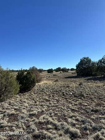 1 Acre of Residential Land for Sale in Concho, Arizona