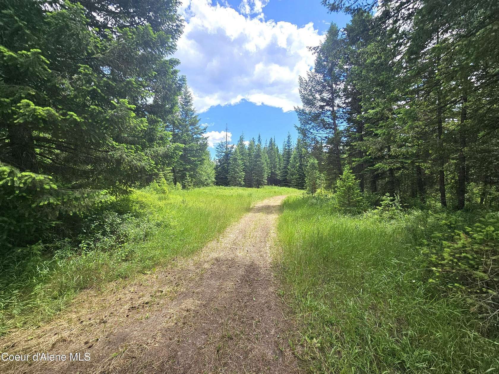 5 Acres of Residential Land for Sale in Athol, Idaho