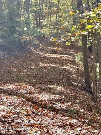 2 Acres of Residential Land for Sale in Brasstown, North Carolina