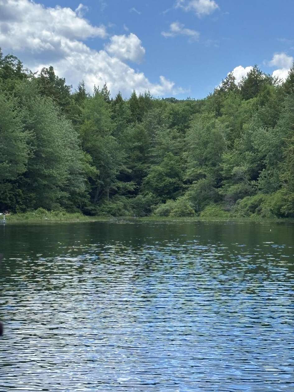 4 Acres of Residential Land for Sale in Liberty, Maine